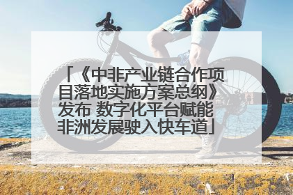 《中非产业链合作项目落地实施方案总纲》发布 数字化平台赋能非洲发展驶入快车道