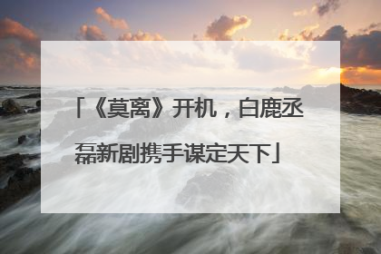 《莫离》开机，白鹿丞磊新剧携手谋定天下