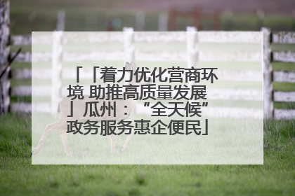「着力优化营商环境 助推高质量发展」瓜州：“全天候”政务服务惠企便民