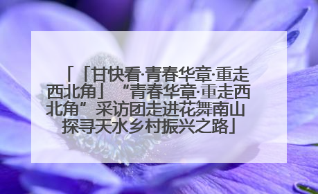 「甘快看·青春华章·重走西北角」“青春华章·重走西北角”采访团走进花舞南山 探寻天水乡村振兴之路