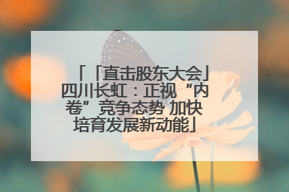 「直击股东大会」四川长虹：正视“内卷”竞争态势 加快培育发展新动能