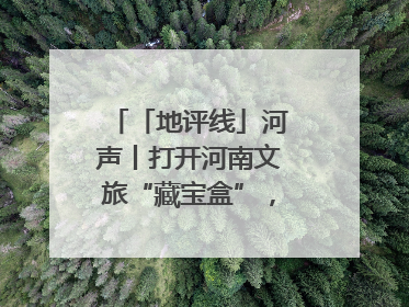 「地评线」河声丨打开河南文旅“藏宝盒”，文明瑰宝澎湃发展“豫动能”