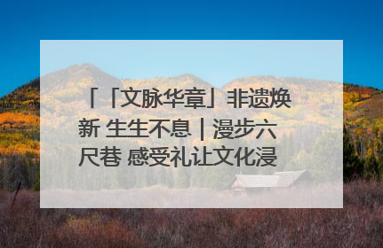 「文脉华章」非遗焕新 生生不息｜漫步六尺巷 感受礼让文化浸润的“巷”往生活