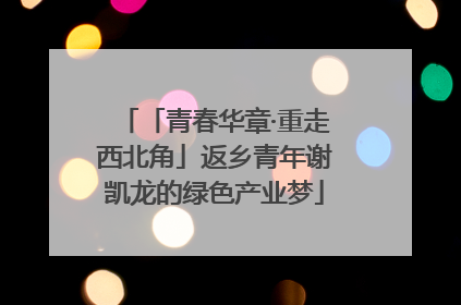 「青春华章·重走西北角」返乡青年谢凯龙的绿色产业梦