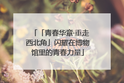 「青春华章·重走西北角」闪耀在博物馆里的青春力量