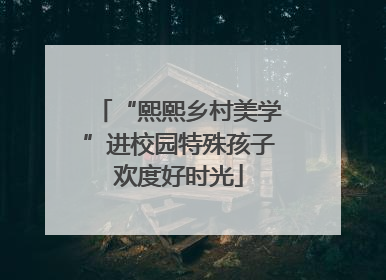 “熙熙乡村美学”进校园特殊孩子欢度好时光