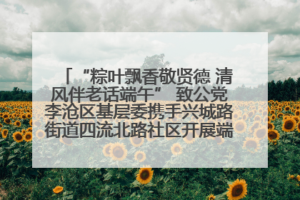 “粽叶飘香敬贤德 清风伴老话端午” 致公党李沧区基层委携手兴城路街道四流北路社区开展端午节主题活动