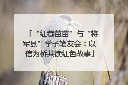 “红巷苗苗”与“将军县”学子笔友会：以信为桥共读红色故事