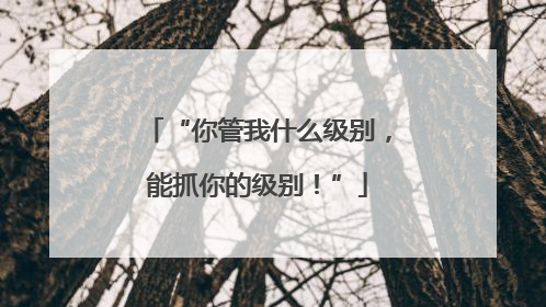 “你管我什么级别，能抓你的级别！”