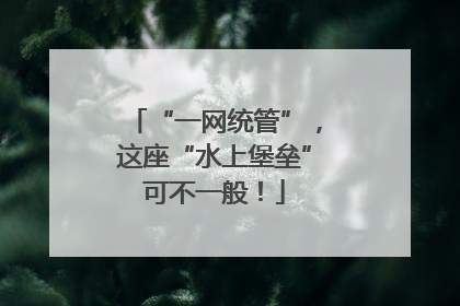 “一网统管”，这座“水上堡垒”可不一般！