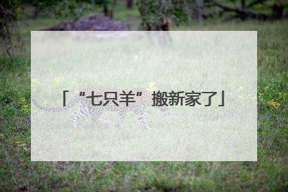 “七只羊”搬新家了