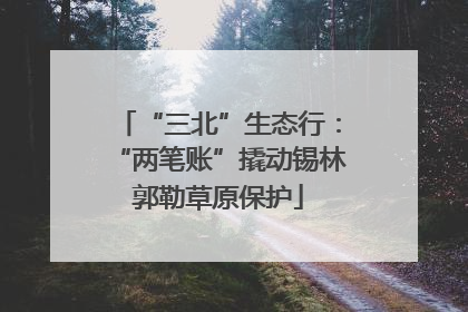“三北”生态行：“两笔账”撬动锡林郭勒草原保护
