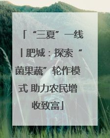 “三夏”一线丨肥城：探索“菌果蔬”轮作模式 助力农民增收致富