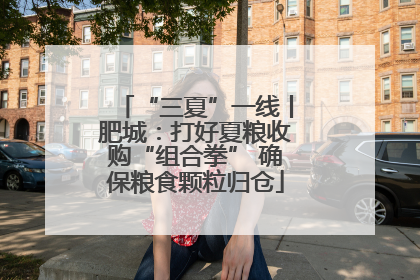 “三夏”一线丨肥城：打好夏粮收购“组合拳” 确保粮食颗粒归仓