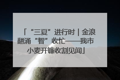 “三夏”进行时｜金浪翻涌“智”收忙——我市小麦开镰收割见闻