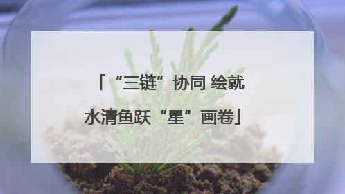 “三链”协同 绘就水清鱼跃“星”画卷