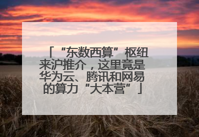 “东数西算”枢纽来沪推介，这里竟是华为云、腾讯和网易的算力“大本营”