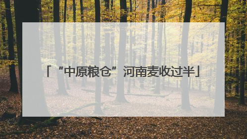 “中原粮仓”河南麦收过半