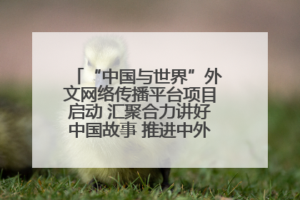 “中国与世界”外文网络传播平台项目启动 汇聚合力讲好中国故事 推进中外文明交流互鉴