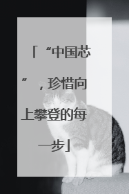 “中国芯”，珍惜向上攀登的每一步