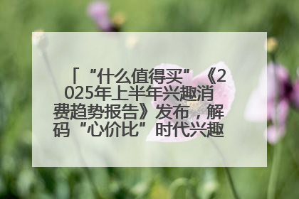 “什么值得买”《2025年上半年兴趣消费趋势报告》发布，解码“心价比”时代兴趣消费新范式