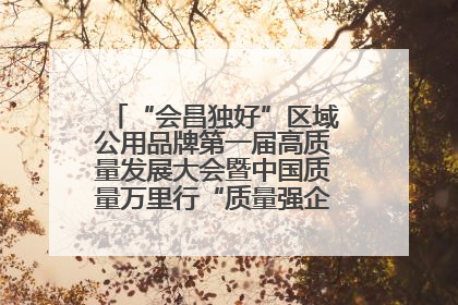 “会昌独好”区域公用品牌第一届高质量发展大会暨中国质量万里行“质量强企•质品行动”进会昌启动仪式成功举办
