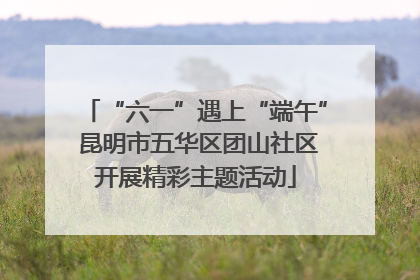 “六一”遇上“端午” 昆明市五华区团山社区开展精彩主题活动
