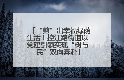 “剪”出幸福绿荫生活！控江路街道以党建引领实现“树与民”双向奔赴