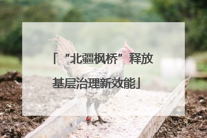 “北疆枫桥”释放基层治理新效能