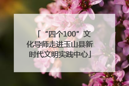 “四个100”文化导师走进玉山县新时代文明实践中心