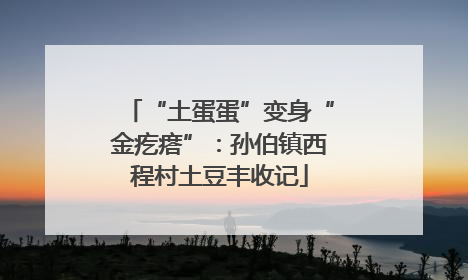 “土蛋蛋”变身“金疙瘩”：孙伯镇西程村土豆丰收记