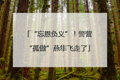 “忘恩负义”！警营“孤傲”燕隼飞走了