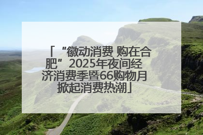 “徽动消费 购在合肥”2025年夜间经济消费季暨66购物月掀起消费热潮