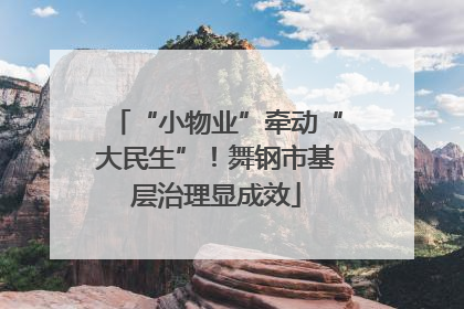 “小物业”牵动“大民生”！舞钢市基层治理显成效