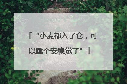 “小麦都入了仓，可以睡个安稳觉了”