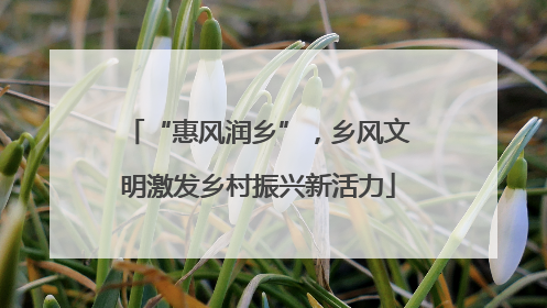 “惠风润乡”，乡风文明激发乡村振兴新活力