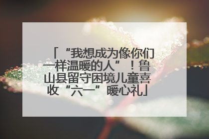 “我想成为像你们一样温暖的人”！鲁山县留守困境儿童喜收“六一”暖心礼