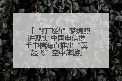 “打飞的”梦想照进现实 中国电信携手中信海直推出“翼起飞”空中旅游