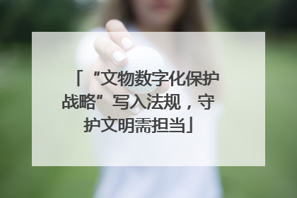 “文物数字化保护战略”写入法规，守护文明需担当