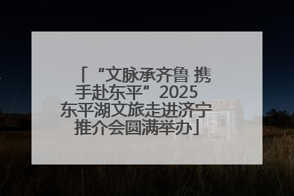 “文脉承齐鲁 携手赴东平”2025东平湖文旅走进济宁推介会圆满举办