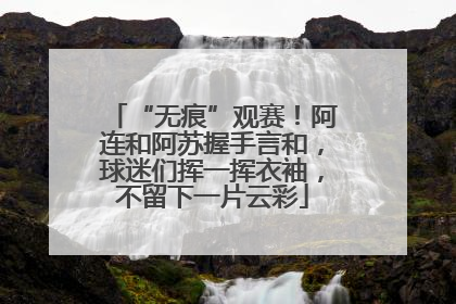 “无痕”观赛！阿连和阿苏握手言和，球迷们挥一挥衣袖，不留下一片云彩