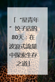 “星青年”饺子店的80天：在波浪式流量中探索生存之道