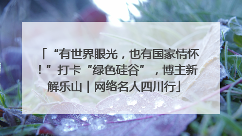 “有世界眼光，也有国家情怀！”打卡“绿色硅谷”，博主新解乐山｜网络名人四川行