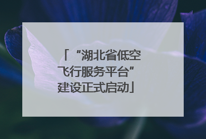 “湖北省低空飞行服务平台”建设正式启动