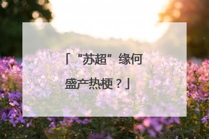 “苏超”缘何盛产热梗？