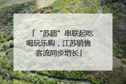 “苏超”串联起吃喝玩乐购，江苏销售客流同步增长