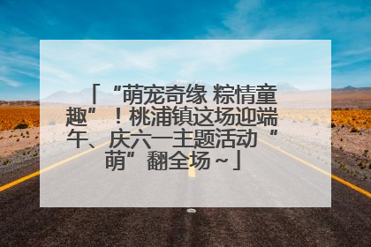 “萌宠奇缘 粽情童趣”！桃浦镇这场迎端午、庆六一主题活动“萌”翻全场～