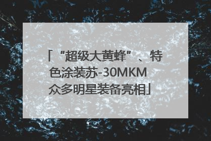 “超级大黄蜂”、特色涂装苏-30MKM 众多明星装备亮相
