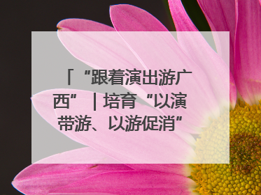 “跟着演出游广西”｜培育“以演带游、以游促消”文旅消费新生态