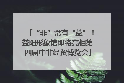 “非”常有“益”！益阳形象馆即将亮相第四届中非经贸博览会